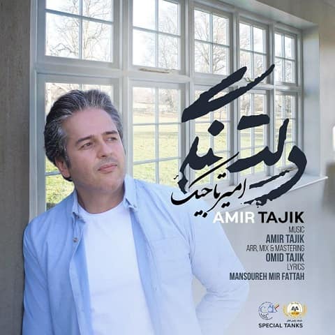 امیر تاجیک : دلتنگی با متن آهنگ