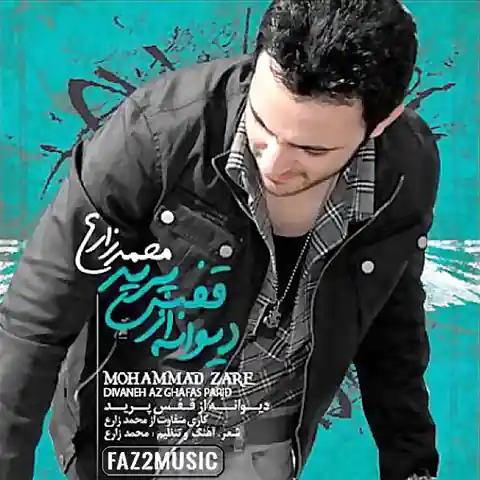 موزیک محمد زارع : دیوونه از قفس پرید با متن ترانه
